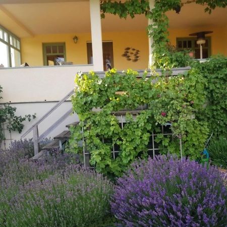 Ferienhaus Schiller Waren  Exterior foto